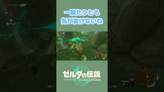 【ティアキン】天からの贈り物【切り抜き】 #ゼルダの伝説 #ゼルダの伝説ティアーズオブザキングダム #ゲーム実況 #shorts