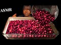 ASMR Eating Reacting To Tiktok Viral Candied Cranberries Mukbang RECIPE Talking Vikky ASMR