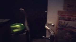 Download lagu Sari Koeswoyo di Mastomcustom/Mary Jane Therapy® Kemang mp3