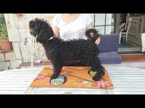 NORTEYNADA TUCA 4 MESES