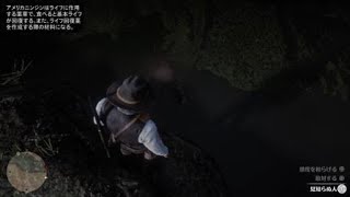 RDR2　リラックスできない人