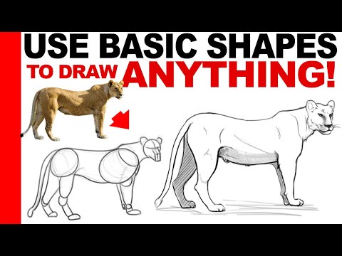 How to Draw ANYTHING In Basic and Dynamic Shapes (Full Lecture + Examples)