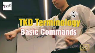 Taekwondo Terminology - Basic Commands