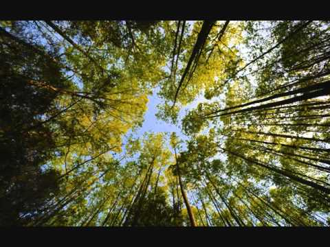 The Prophet with his companions