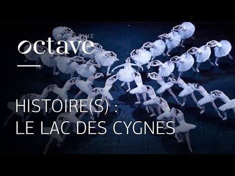 Histoire(s) : Le Lac des cygnes