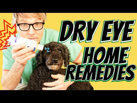 Dry Eye in Dogs? Dr. Jones' 3 Home Easy Natural Fixes You Gotta Try!
