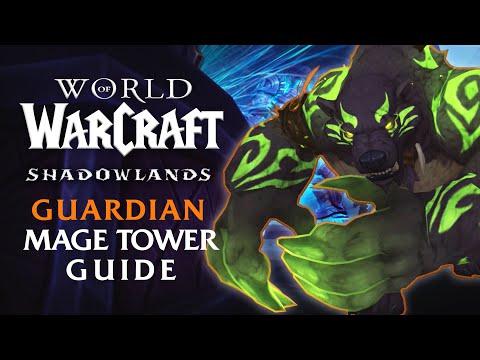 Guardian Druid Mage Tower Guide