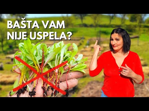 3 MISTAKES Because of which your garden failed