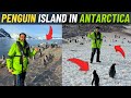 Penguin Island in ANTARCTICA 🇦🇶 !!!