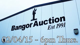 preview picture of video 'Bangor Auction Walk About 02/04/15 @ 6pm'