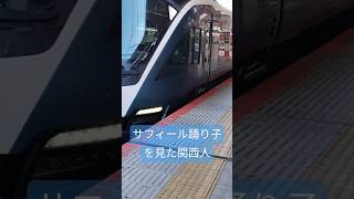 サフィール踊り子を見かけました。