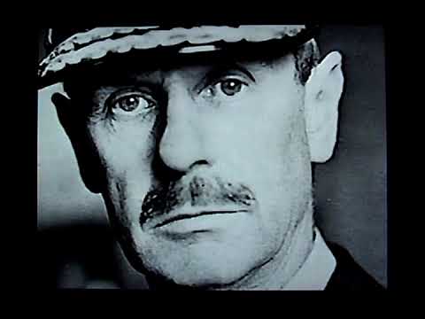 Wings   The Valiant Few