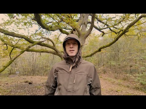 The Immortal Within ft Archaix (Official Video)