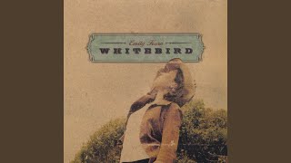 Hey Mister-That's My Dog!