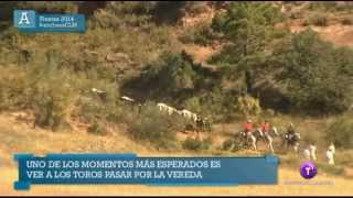 preview picture of video 'Fiestas Paterna del Madera - Ancha es Castilla La Mancha'