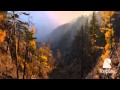 Осенний мотив 