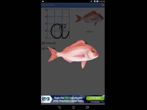 Tập viết Bảng chữ cái Video