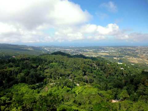 Joly Braga Santos (1924-1988) : Symphonic Variations on a popular song  from the  Alentejo, Op.18