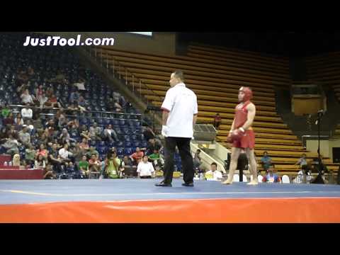 7th Sanda World Cup (2014) - Men's 65kg Final