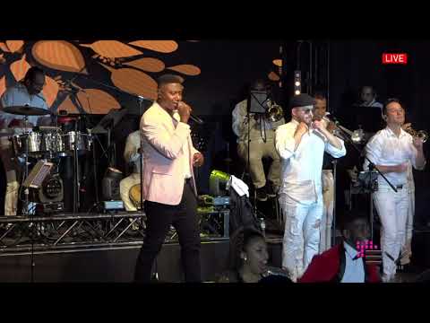 Quítate de la vía Perico - Ismael Rivera - Juano tu cantante #cover #live #concierto #envivo