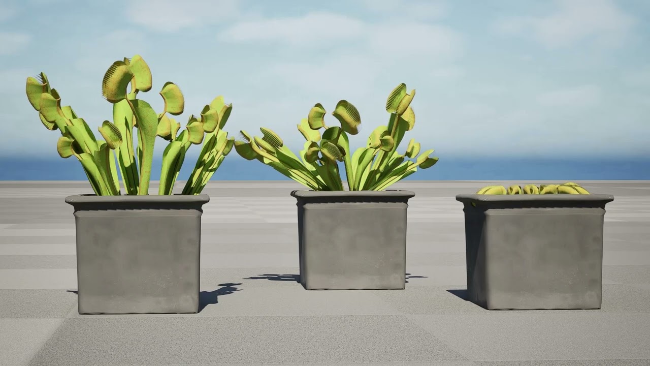 Venus Fly Trap 3D Model