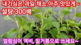 내가심은 과일,채소 아~주 맛있게 만들어주는 스테비아 농법 설탕300배