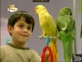 BabyTV December 22 2009 Part 7