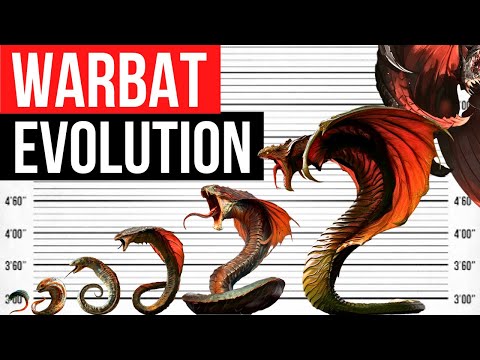 Evolution der Warbat | Lebenszyklus