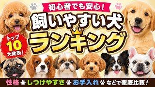 【ランキング】初心者でも安心！飼いやすい犬ランキングトップ10