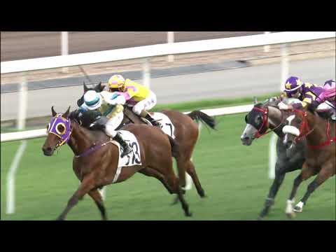 11/4/2021 (584) Hinchinlove - Matthew Chadwick