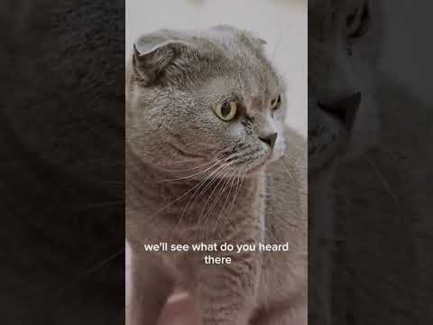 another day another emotions ❤️❤️🍀