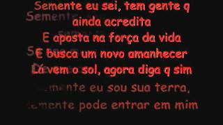 Armandinho-Semente