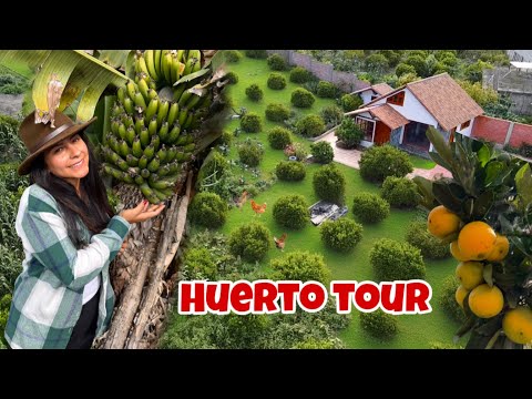 Nuestro SUEÑO hecho REALIDAD, 🏡 gracias a DIOS!! 🦆Josué y Elie 