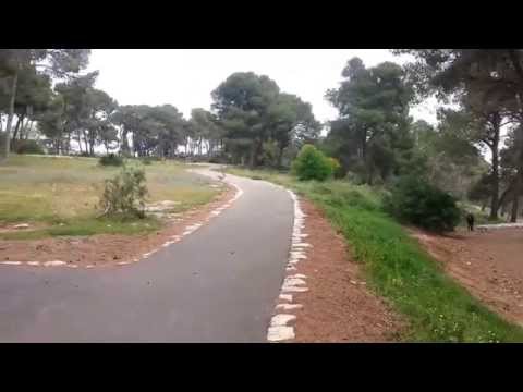 תמונה של יער קהילתי מגדל העמק