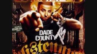 Dj Khaled - Born &#39;N Raised (feat. Pitbull, Rick Ross &amp; Trick Daddy)