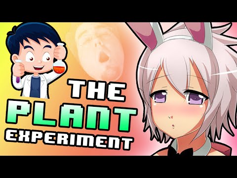 THE BOXBOX EXPERIMENT (IT'S A PLANT) - BOXBOX (THE BOXBOX EXPERIMENT (IT'S A PLANT) - Boxbox)