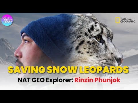 Saving Snow Leopards in the Himalayas | Rinzin Phunjok Lama | Conservational Biologist | EP 213