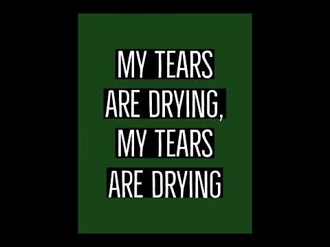 'Sunshine on Leith 💚' - Hibee Lyrics