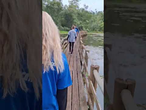 Atravessando o Lago do Horto Florestal de Itatinga #shorts