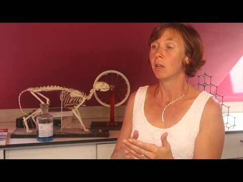 Présentation du nouveau manuel de Sciences en 4e année (de Boeck)