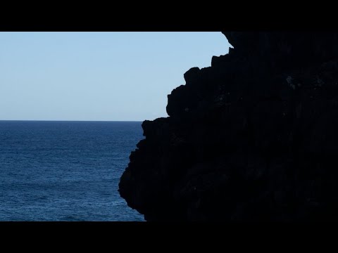 Alma Negra - Dakar Disco