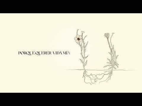 Pedro Pastor y Silvio Rodríguez - Quererte