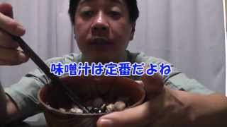 多摩川のシジミ採りに挑戦してみました