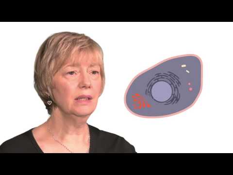 MOOC côté cours : Qu'est-ce qu'une cellule