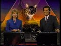 Kick Back And Spend Half An Hour In 1994
