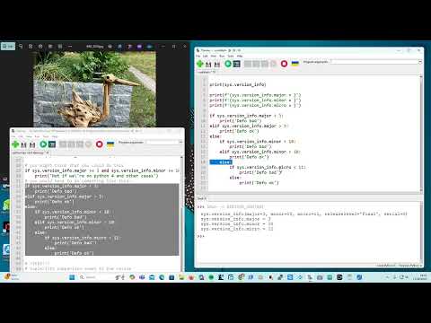 Checking The Version Of Python Within Your Program Using Tuple Comparison