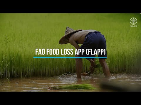 FAO Food Loss App - FLAPP