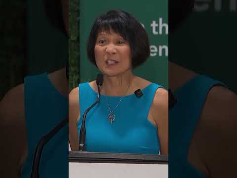 Chow reacts to Ford’s plan to ban speed cameras