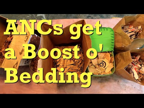 ANC-Würmer und Kokons sowie Einstreu, Einstreu, EINSAUGEN - Wurmkompostierung