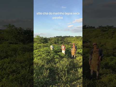 cha do marinho lagoa seca paraíba